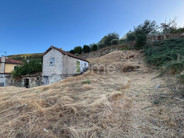 Terreno venda em Sabrosa, Vila Real