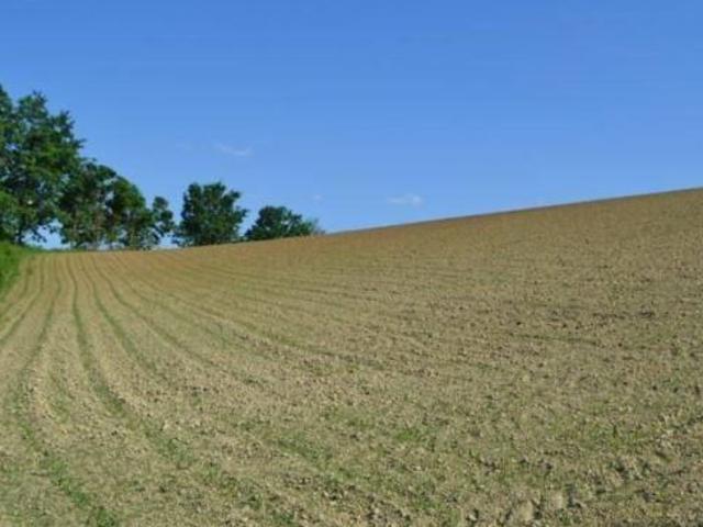 Terreno in vendita a Piacenza
