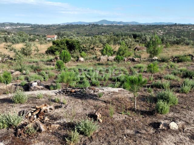 Terreno venda em Lagares Da Beira, Coimbra