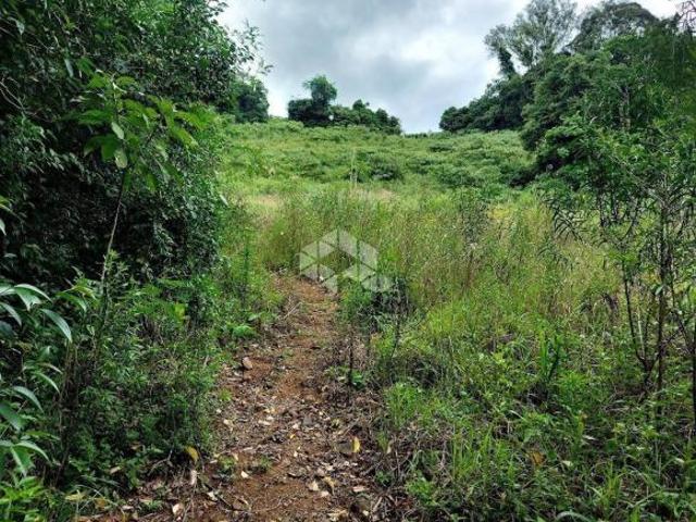 Sítio e chácara venda em Região Geográfica Imediata de Bento Gonçalves, Bento Gonçalves