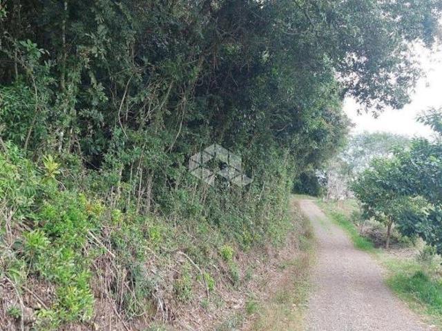Sítio e chácara venda em Região Geográfica Imediata de Bento Gonçalves, Bento Gonçalves