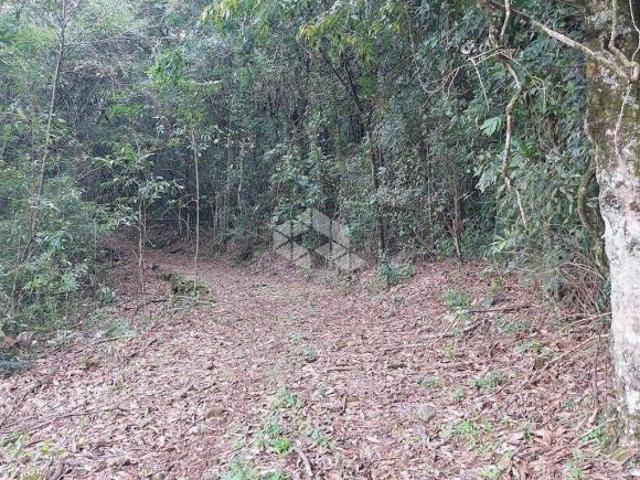 Sítio e chácara venda em Região Geográfica Imediata de Bento Gonçalves, Bento Gonçalves
