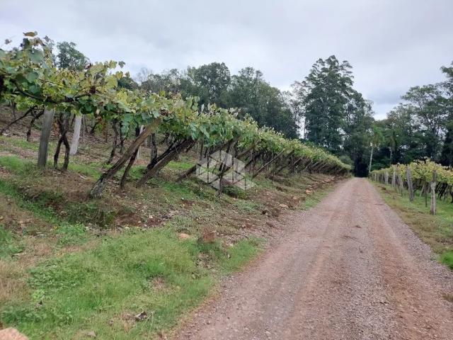 Fazenda venda em Região Geográfica Imediata de Bento Gonçalves, Bento Gonçalves