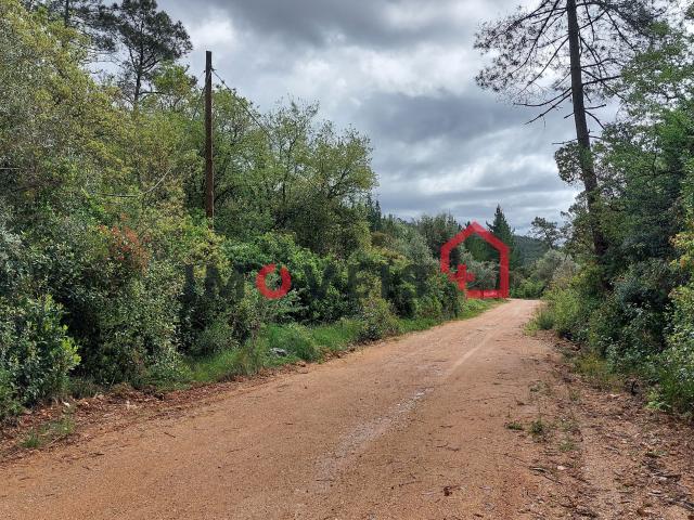 Terreno venda em Ourém, Santarém