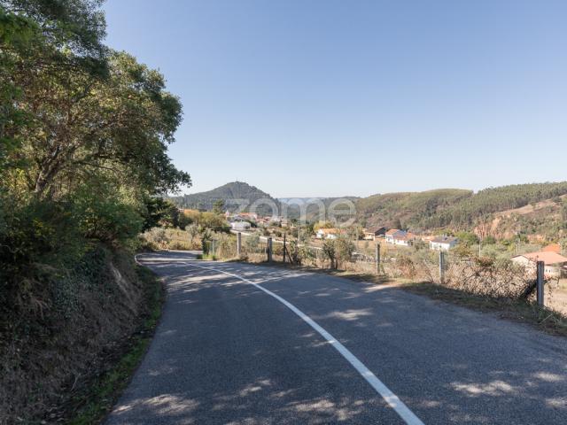 Terreno venda em Arganil