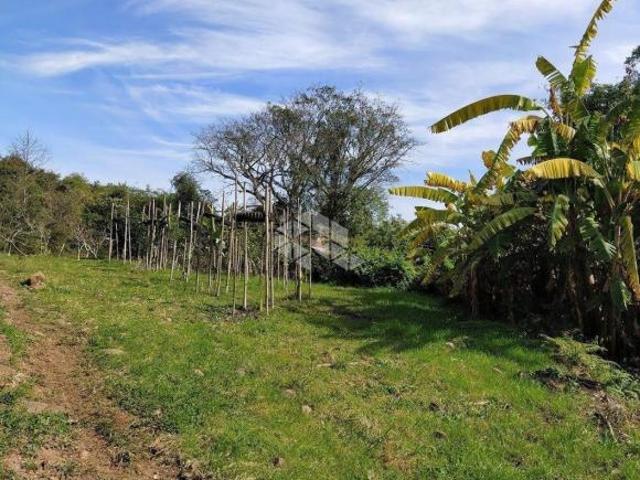 Sítio e chácara venda em Região Geográfica Imediata de Bento Gonçalves, Garibaldi