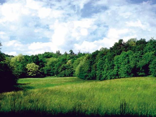 Terreno in vendita a Unione di Comuni della Romagna Forlivese, Quattro