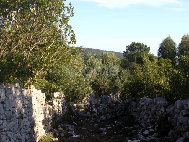 Terreno venda em Porto De Mós, Leiria