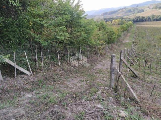 Sítio e chácara venda em Região Geográfica Imediata de Bento Gonçalves, Garibaldi