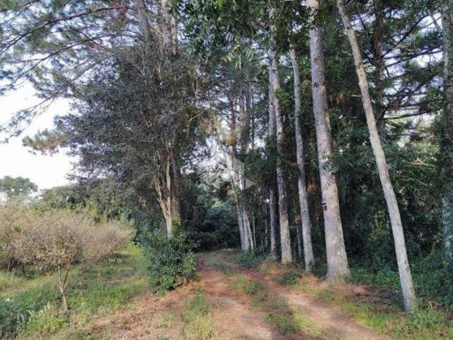 Sítio e chácara venda em Região Geográfica Imediata de Bento Gonçalves, Bento Gonçalves