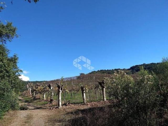 Sítio e chácara venda em Região Geográfica Imediata de Bento Gonçalves, Garibaldi