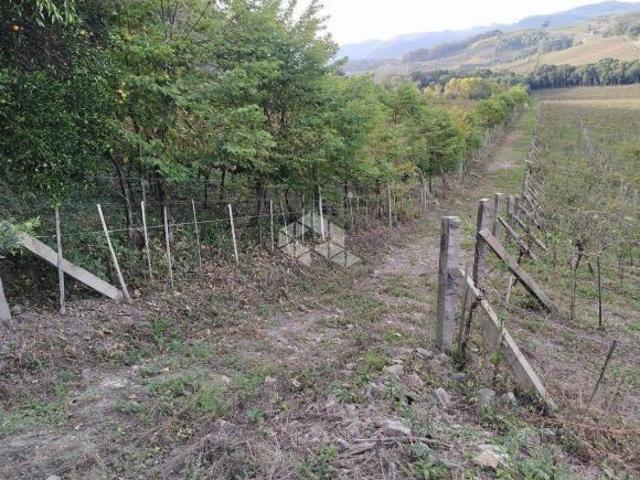 Sítio e chácara venda em Região Geográfica Imediata de Bento Gonçalves, Garibaldi