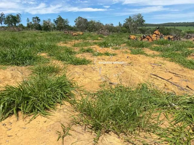 Fazenda venda em Região Geográfica Imediata de Anápolis, Região Integrada de Desenvolvimento do Distrito Federal e Entorno