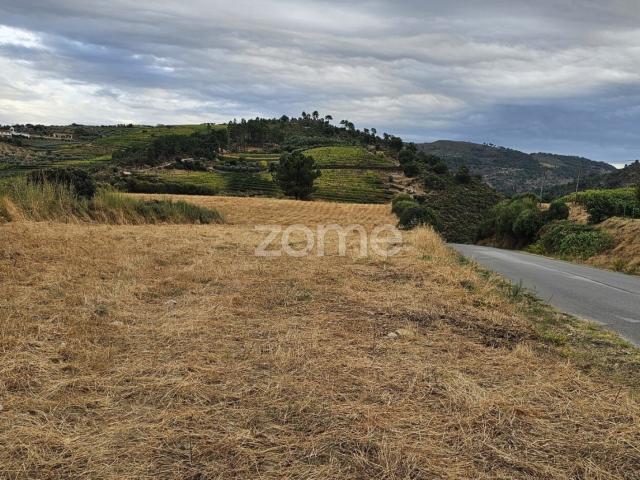 Terreno venda em Murça, Vila Real