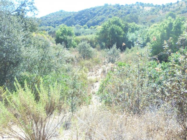Terreno venda em Ribeira de Arade, São Bartolomeu De Messines