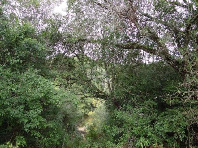 Terreno venda em Região Geográfica Imediata de Bento Gonçalves, Bento Gonçalves