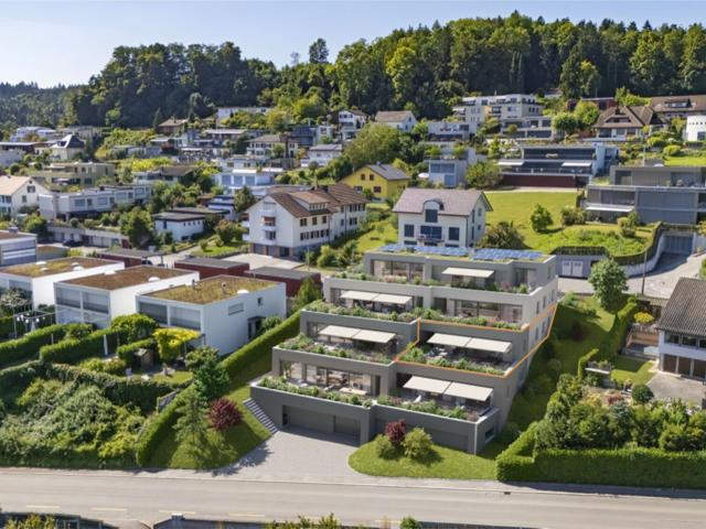 Immobilie kaufen in Küttigen, Aargau