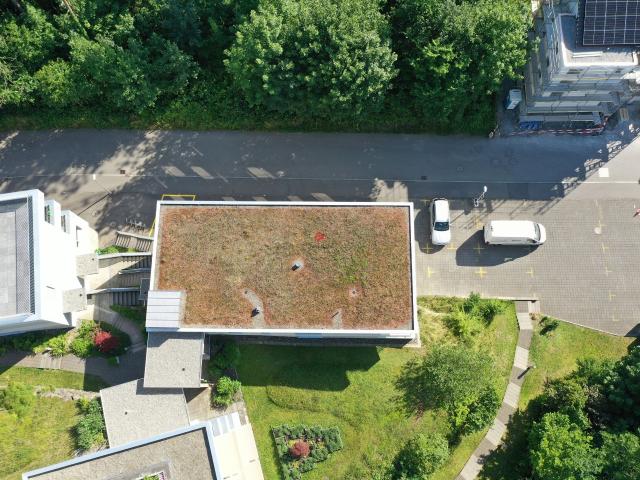 Immobilie kaufen in Arth, Schwyz