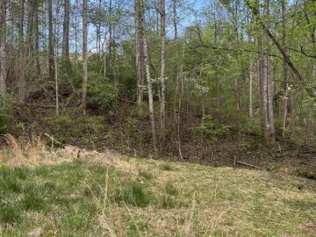 Land for sale in Virginia