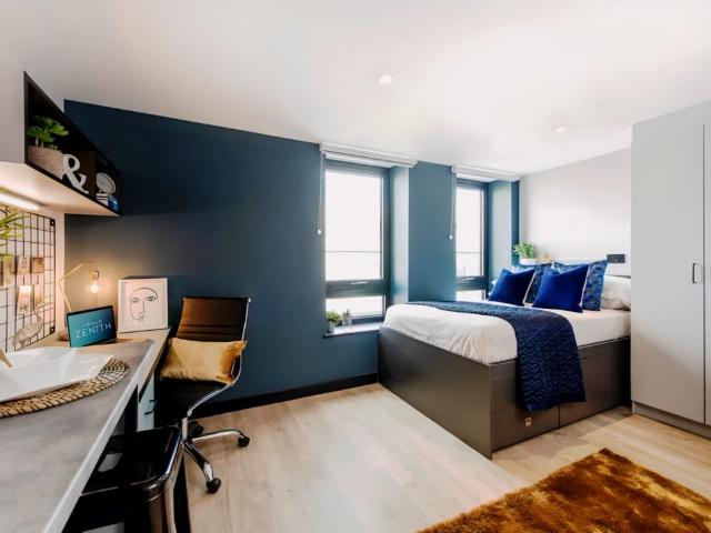 Studio for rent in Newtown, Falcon Lodge
