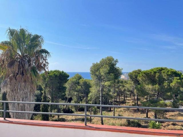Casa en alquiler en Castell d'Aro, Platja d'Aro i s'Agaró, Baix Empordà