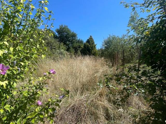 Terrain vente à Cosne-Cours-sur-Loire, Tracy-sur-loire