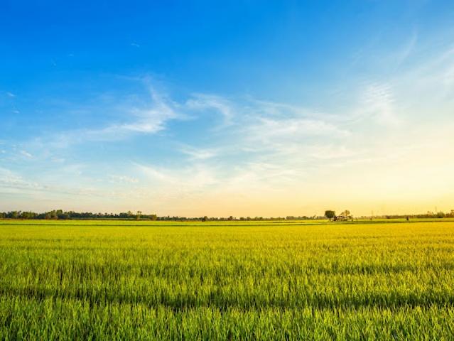 Terrain vente à Montbéliard, Anteuil
