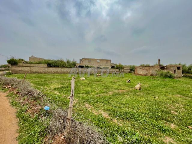 Propriété vente à Al Haouz, L'Oriental