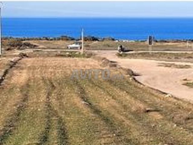 Propriété vente à Saida