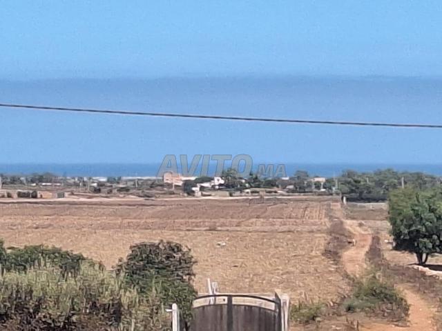 Propriété vente à El Ma, Gharb-Chrarda-Beni Hssen