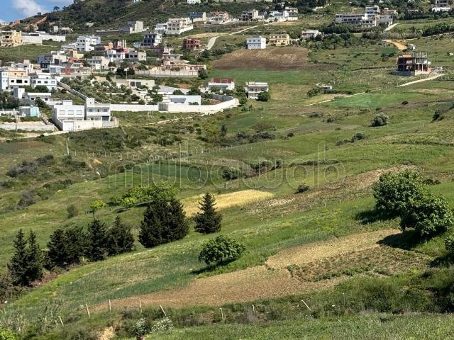 Terrain vente à El Fahs, Tanger-Tétouan