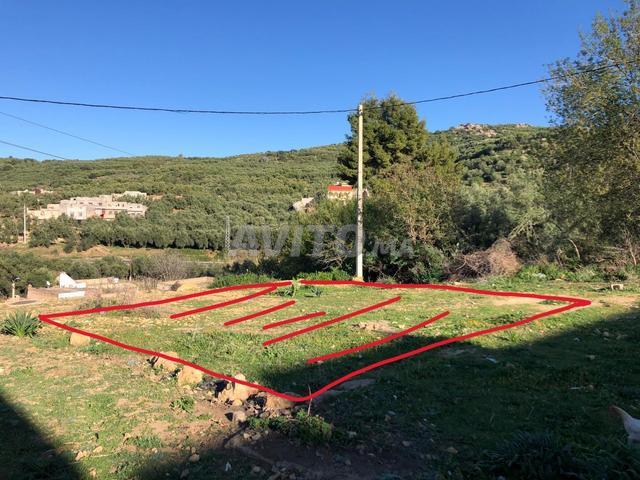 Propriété vente à Zaouiat Cheikh