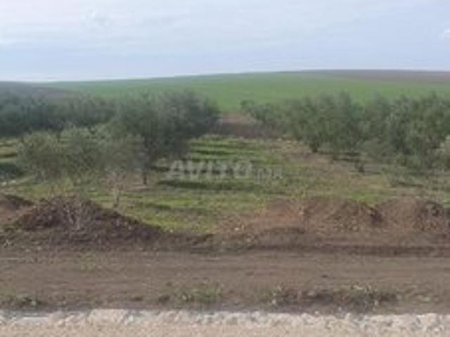 Propriété vente à Arbaoua