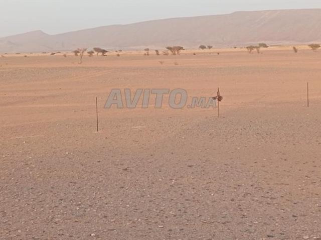 Propriété vente à Tata, Guelmim-Es Semara