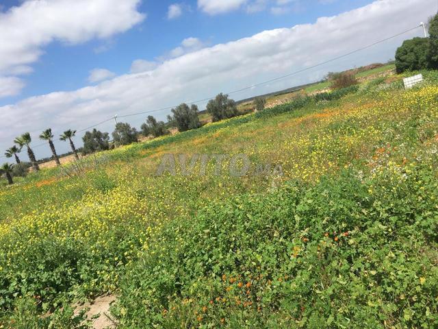Propriété vente à Benslimane بن سليمان, Province de Benslimane إقليم بن سليمان