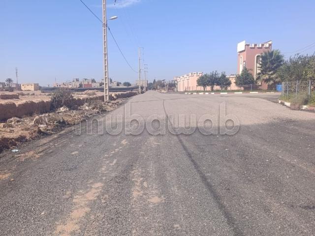 Terrain vente à Oued ed Dahab-Lagouira