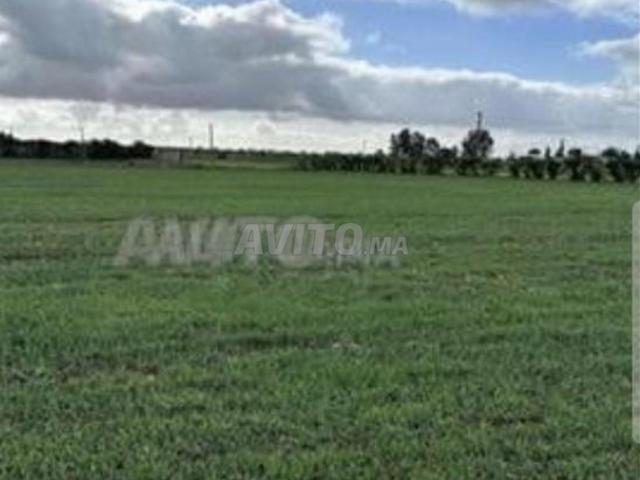 Propriété vente à Slimane, Gharb-Chrarda-Beni Hssen