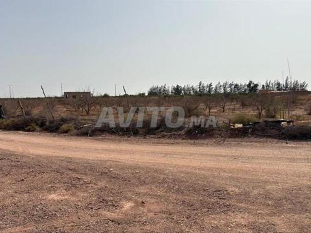 Propriété vente à Taroudant تارودانت, Province de Taroudant ⵜⴰⵙⴳⴰ ⵏ ⵜⴰⵔⵓⴷⴰⵏⵜ إقليم تارودانت