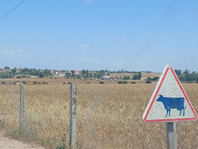 Terrain vente à Bouskoura, Gharb-Chrarda-Beni Hssen