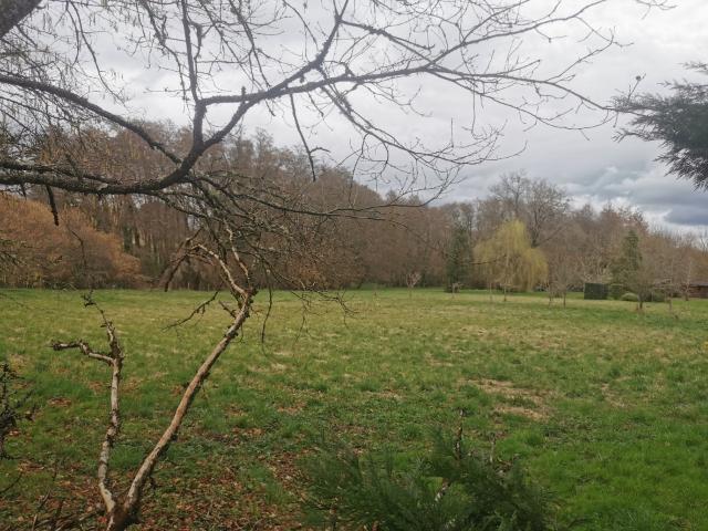 Terrain vente à Lignan-de-Bazas, Gironde