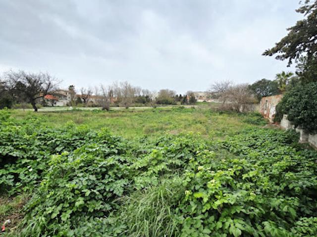 Terrain vente à Perpignan