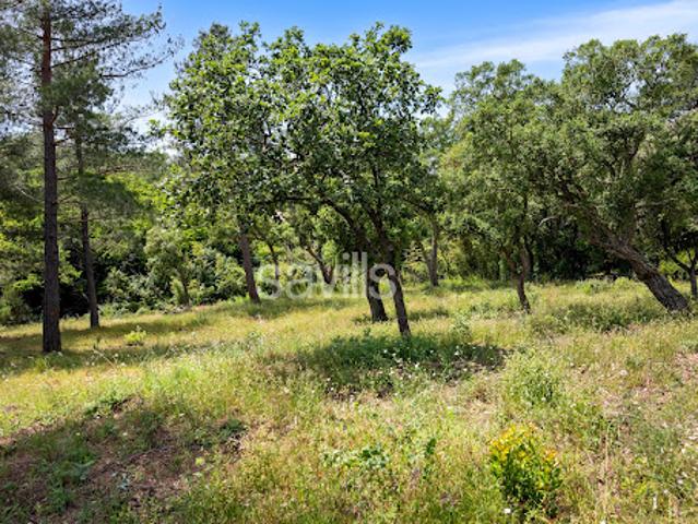 Terrain vente à Arrondissement de Draguignan, Grimaud