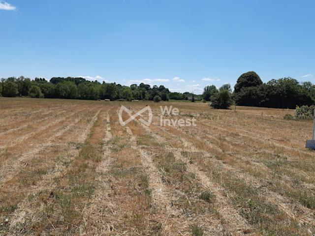 Terrain vente à Blaye, Berson