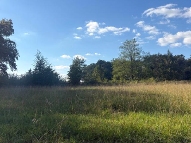 Terrain vente à Libourne, Asques