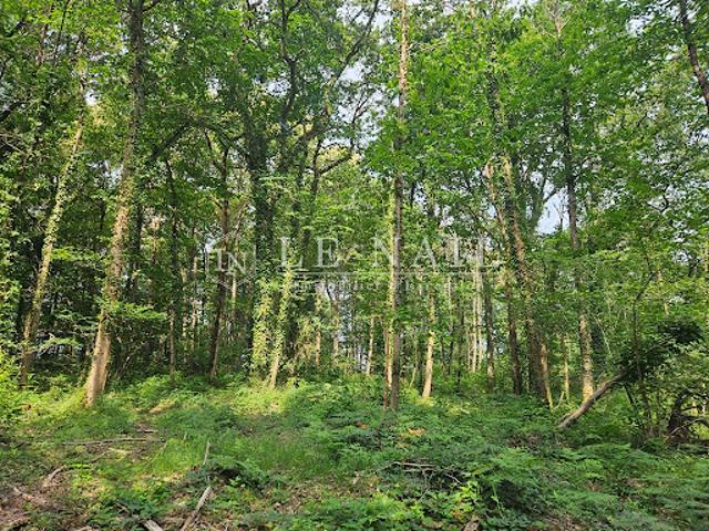 Terrain vente à Château-Gontier, Château-gontier