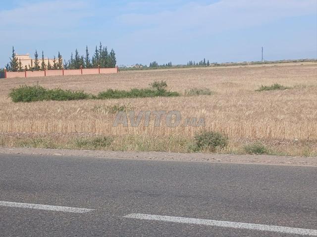 Propriété vente à L'Oriental