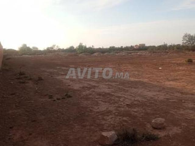 Propriété vente à Ouled, Oued ed Dahab-Lagouira