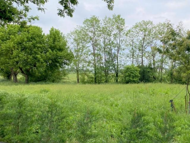 Terrain vente à France métropolitaine, Birac-sur-trec