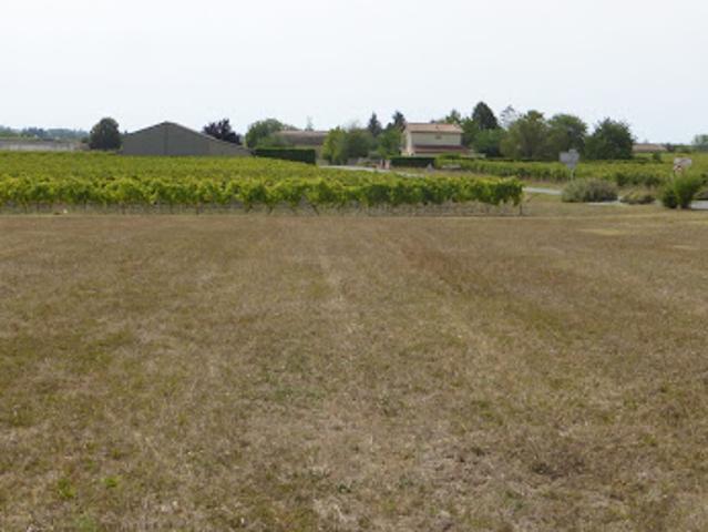Terrain vente à Jonzac, Brie-sous-archiac