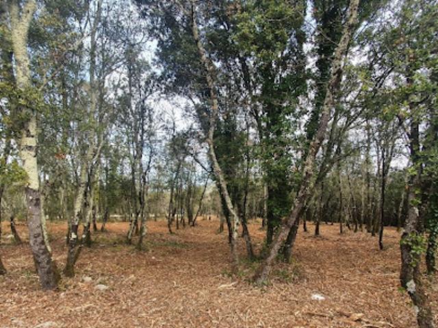 Terrain vente à Largentière, Labastide-de-virac